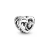 Entwined Infinite Hearts Charm
