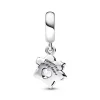 Sparkling Pet Paw Print Dangle Charm